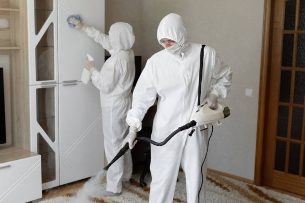 Mold Odor Removal Services in Kaumakani, HI